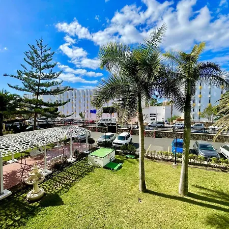 Appartement Golden Palm Tree *